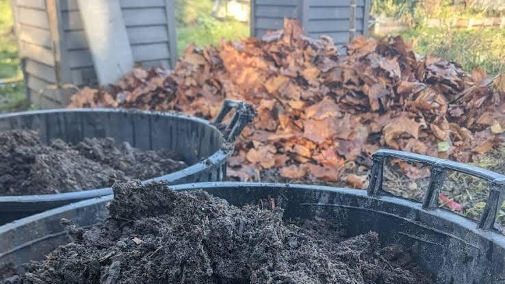 Organic Compost Material